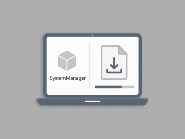 SystemManager